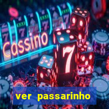 ver passarinho morto significado